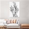 Picture of Dried Eucalyptus   _GroupedProduct_Rectangle_Portrait_Photography _GroupedProduct_Rectangle_Portrait_Unframed_Print_Only_