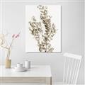Picture of Dried Eucalyptus   _GroupedProduct_Rectangle_Portrait_Photography _GroupedProduct_Rectangle_Portrait_Unframed_Print_Only_