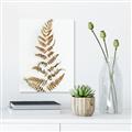 Picture of Dried Fern Leaf  _GroupedProduct_Rectangle_Portrait_Photography _GroupedProduct_Rectangle_Portrait_Unframed_Print_Only_