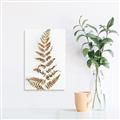 Picture of Dried Fern Leaf  _GroupedProduct_Rectangle_Portrait_Photography _GroupedProduct_Rectangle_Portrait_Unframed_Print_Only_