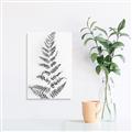Picture of Dried Fern Leaf  _GroupedProduct_Rectangle_Portrait_Photography _GroupedProduct_Rectangle_Portrait_Unframed_Print_Only_