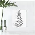 Picture of Dried Fern Leaf  _GroupedProduct_Rectangle_Portrait_Photography _GroupedProduct_Rectangle_Portrait_Unframed_Print_Only_