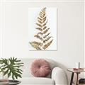 Picture of Dried Fern Leaf  _GroupedProduct_Rectangle_Portrait_Photography _GroupedProduct_Rectangle_Portrait_Unframed_Print_Only_