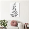 Picture of Dried Fern Leaf  _GroupedProduct_Rectangle_Portrait_Photography _GroupedProduct_Rectangle_Portrait_Unframed_Print_Only_