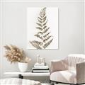 Picture of Dried Fern Leaf  _GroupedProduct_Rectangle_Portrait_Photography _GroupedProduct_Rectangle_Portrait_Unframed_Print_Only_
