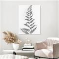 Picture of Dried Fern Leaf  _GroupedProduct_Rectangle_Portrait_Photography _GroupedProduct_Rectangle_Portrait_Unframed_Print_Only_