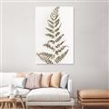 Picture of Dried Fern Leaf  _GroupedProduct_Rectangle_Portrait_Photography _GroupedProduct_Rectangle_Portrait_Unframed_Print_Only_