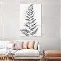 Picture of Dried Fern Leaf  _GroupedProduct_Rectangle_Portrait_Photography _GroupedProduct_Rectangle_Portrait_Unframed_Print_Only_