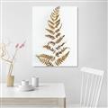 Picture of Dried Fern Leaf  _GroupedProduct_Rectangle_Portrait_Photography _GroupedProduct_Rectangle_Portrait_Unframed_Print_Only_
