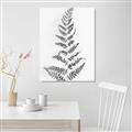 Picture of Dried Fern Leaf  _GroupedProduct_Rectangle_Portrait_Photography _GroupedProduct_Rectangle_Portrait_Unframed_Print_Only_