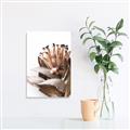 Picture of Dried Flower I  _GroupedProduct_Rectangle_Portrait_Photography _GroupedProduct_Rectangle_Portrait_Unframed_Print_Only_