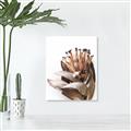 Picture of Dried Flower I  _GroupedProduct_Rectangle_Portrait_Photography _GroupedProduct_Rectangle_Portrait_Unframed_Print_Only_