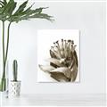 Picture of Dried Flower I  _GroupedProduct_Rectangle_Portrait_Photography _GroupedProduct_Rectangle_Portrait_Unframed_Print_Only_