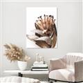 Picture of Dried Flower I  _GroupedProduct_Rectangle_Portrait_Photography _GroupedProduct_Rectangle_Portrait_Unframed_Print_Only_