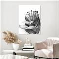 Picture of Dried Flower I  _GroupedProduct_Rectangle_Portrait_Photography _GroupedProduct_Rectangle_Portrait_Unframed_Print_Only_