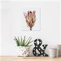 Picture of Dried Flower II _GroupedProduct_Rectangle_Portrait_Photography _GroupedProduct_Rectangle_Portrait_Unframed_Print_Only_