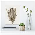Picture of Dried Flower II _GroupedProduct_Rectangle_Portrait_Photography _GroupedProduct_Rectangle_Portrait_Unframed_Print_Only_