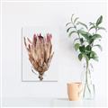 Picture of Dried Flower II _GroupedProduct_Rectangle_Portrait_Photography _GroupedProduct_Rectangle_Portrait_Unframed_Print_Only_