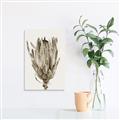 Picture of Dried Flower II _GroupedProduct_Rectangle_Portrait_Photography _GroupedProduct_Rectangle_Portrait_Unframed_Print_Only_