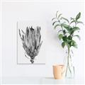 Picture of Dried Flower II _GroupedProduct_Rectangle_Portrait_Photography _GroupedProduct_Rectangle_Portrait_Unframed_Print_Only_