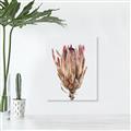 Picture of Dried Flower II _GroupedProduct_Rectangle_Portrait_Photography _GroupedProduct_Rectangle_Portrait_Unframed_Print_Only_