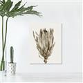 Picture of Dried Flower II _GroupedProduct_Rectangle_Portrait_Photography _GroupedProduct_Rectangle_Portrait_Unframed_Print_Only_