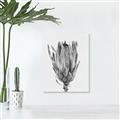 Picture of Dried Flower II _GroupedProduct_Rectangle_Portrait_Photography _GroupedProduct_Rectangle_Portrait_Unframed_Print_Only_