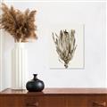 Picture of Dried Flower II _GroupedProduct_Rectangle_Portrait_Photography _GroupedProduct_Rectangle_Portrait_Unframed_Print_Only_