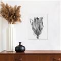 Picture of Dried Flower II _GroupedProduct_Rectangle_Portrait_Photography _GroupedProduct_Rectangle_Portrait_Unframed_Print_Only_