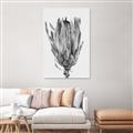 Picture of Dried Flower II _GroupedProduct_Rectangle_Portrait_Photography _GroupedProduct_Rectangle_Portrait_Unframed_Print_Only_