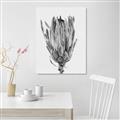 Picture of Dried Flower II _GroupedProduct_Rectangle_Portrait_Photography _GroupedProduct_Rectangle_Portrait_Unframed_Print_Only_