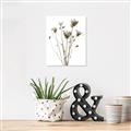 Picture of Dried Flower III  _GroupedProduct_Rectangle_Portrait_Photography _GroupedProduct_Rectangle_Portrait_Unframed_Print_Only_