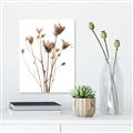 Picture of Dried Flower III  _GroupedProduct_Rectangle_Portrait_Photography _GroupedProduct_Rectangle_Portrait_Unframed_Print_Only_