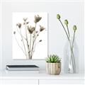 Picture of Dried Flower III  _GroupedProduct_Rectangle_Portrait_Photography _GroupedProduct_Rectangle_Portrait_Unframed_Print_Only_
