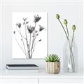 Picture of Dried Flower III  _GroupedProduct_Rectangle_Portrait_Photography _GroupedProduct_Rectangle_Portrait_Unframed_Print_Only_