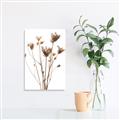 Picture of Dried Flower III  _GroupedProduct_Rectangle_Portrait_Photography _GroupedProduct_Rectangle_Portrait_Unframed_Print_Only_