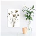 Picture of Dried Flower III  _GroupedProduct_Rectangle_Portrait_Photography _GroupedProduct_Rectangle_Portrait_Unframed_Print_Only_