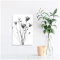 Picture of Dried Flower III  _GroupedProduct_Rectangle_Portrait_Photography _GroupedProduct_Rectangle_Portrait_Unframed_Print_Only_