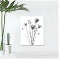 Picture of Dried Flower III  _GroupedProduct_Rectangle_Portrait_Photography _GroupedProduct_Rectangle_Portrait_Unframed_Print_Only_
