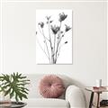 Picture of Dried Flower III  _GroupedProduct_Rectangle_Portrait_Photography _GroupedProduct_Rectangle_Portrait_Unframed_Print_Only_