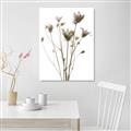 Picture of Dried Flower III  _GroupedProduct_Rectangle_Portrait_Photography _GroupedProduct_Rectangle_Portrait_Unframed_Print_Only_