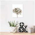 Picture of Dried Hydrangea _GroupedProduct_Rectangle_Portrait_Photography _GroupedProduct_Rectangle_Portrait_Unframed_Print_Only_