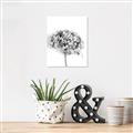 Picture of Dried Hydrangea _GroupedProduct_Rectangle_Portrait_Photography _GroupedProduct_Rectangle_Portrait_Unframed_Print_Only_