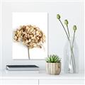 Picture of Dried Hydrangea _GroupedProduct_Rectangle_Portrait_Photography _GroupedProduct_Rectangle_Portrait_Unframed_Print_Only_