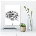 Picture of Dried Hydrangea _GroupedProduct_Rectangle_Portrait_Photography _GroupedProduct_Rectangle_Portrait_Unframed_Print_Only_