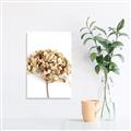 Picture of Dried Hydrangea _GroupedProduct_Rectangle_Portrait_Photography _GroupedProduct_Rectangle_Portrait_Unframed_Print_Only_