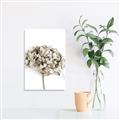 Picture of Dried Hydrangea _GroupedProduct_Rectangle_Portrait_Photography _GroupedProduct_Rectangle_Portrait_Unframed_Print_Only_