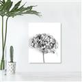 Picture of Dried Hydrangea _GroupedProduct_Rectangle_Portrait_Photography _GroupedProduct_Rectangle_Portrait_Unframed_Print_Only_