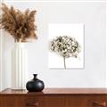 Picture of Dried Hydrangea _GroupedProduct_Rectangle_Portrait_Photography _GroupedProduct_Rectangle_Portrait_Unframed_Print_Only_