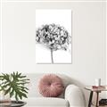 Picture of Dried Hydrangea _GroupedProduct_Rectangle_Portrait_Photography _GroupedProduct_Rectangle_Portrait_Unframed_Print_Only_